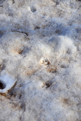 MISE A  JOUR  en cours