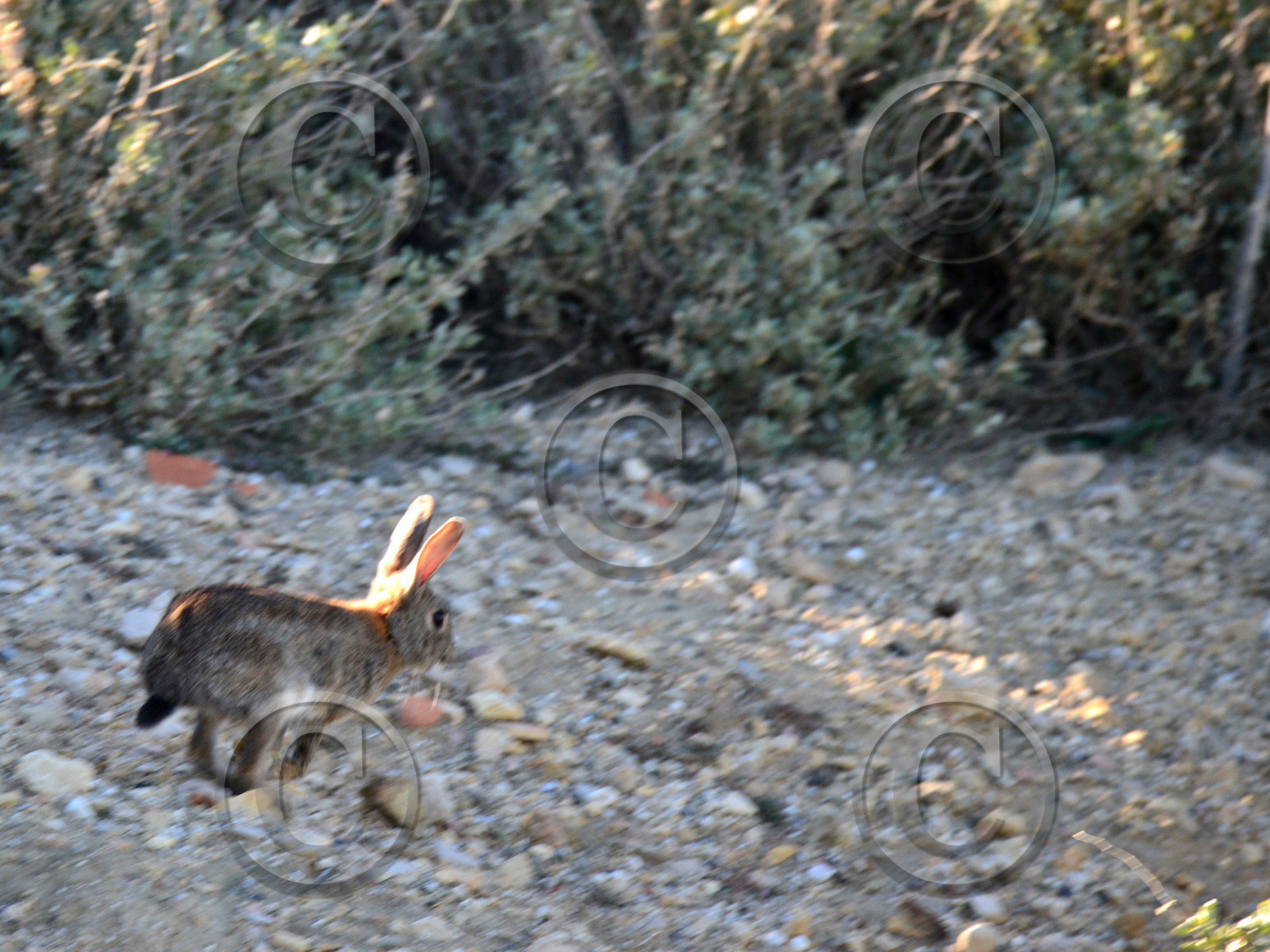 MISE A  JOUR  en cours