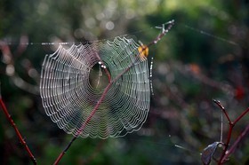 Photo de la sainte baume