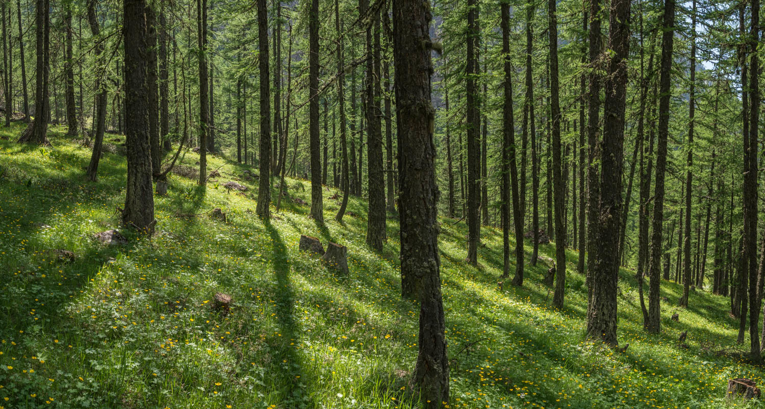 montagne haute alpes ,queyras, mercantour,alpes de haute provence,alpes maritime