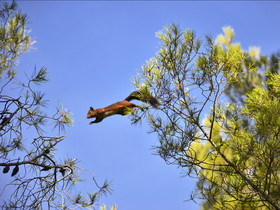 MISE A  JOUR  en cours