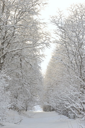 ALPES DE HAUTE PROVENCE