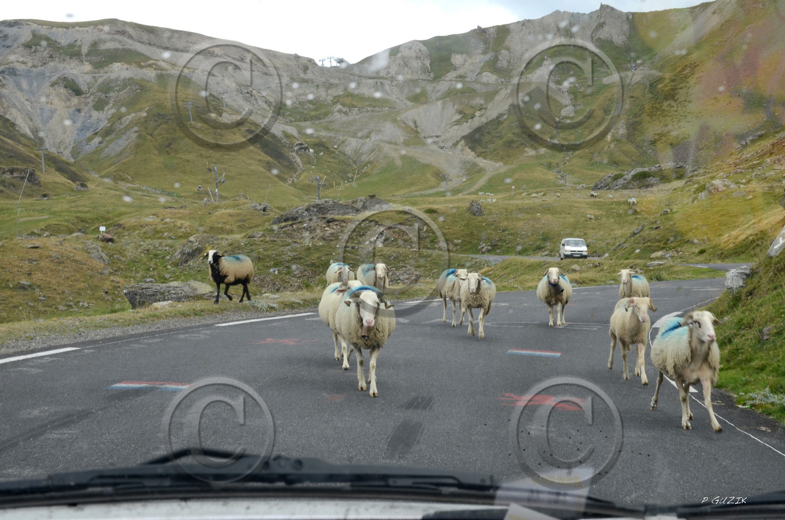 montagne haute alpes ,queyras, mercantour,alpes de haute provence,alpes maritime