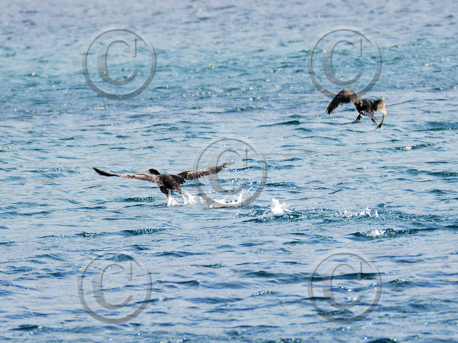 MISE A  JOUR  en cours