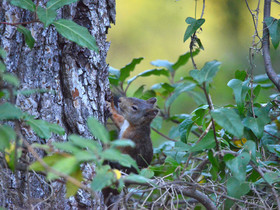 MISE A  JOUR  en cours