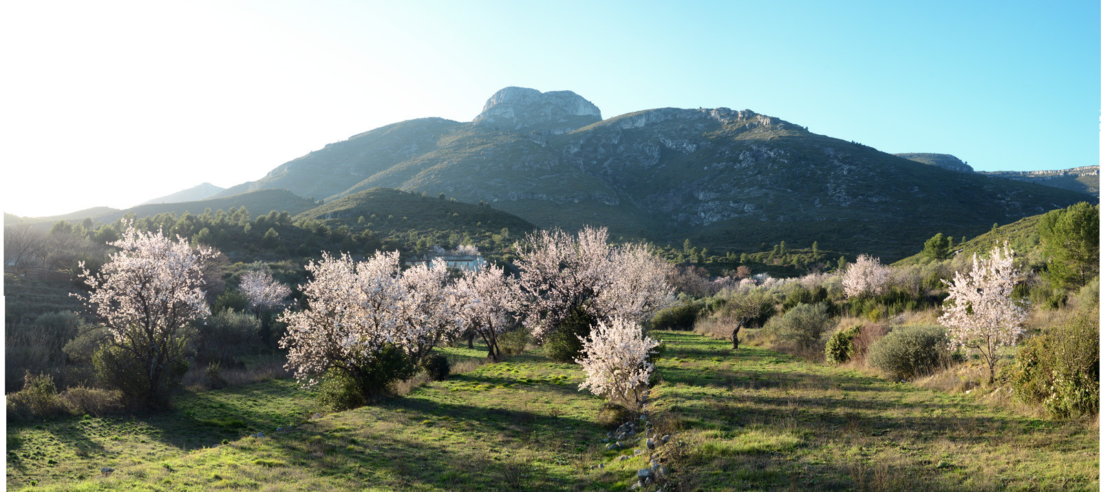 Photo de la sainte baume