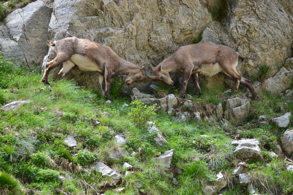 MISE A  JOUR  en cours