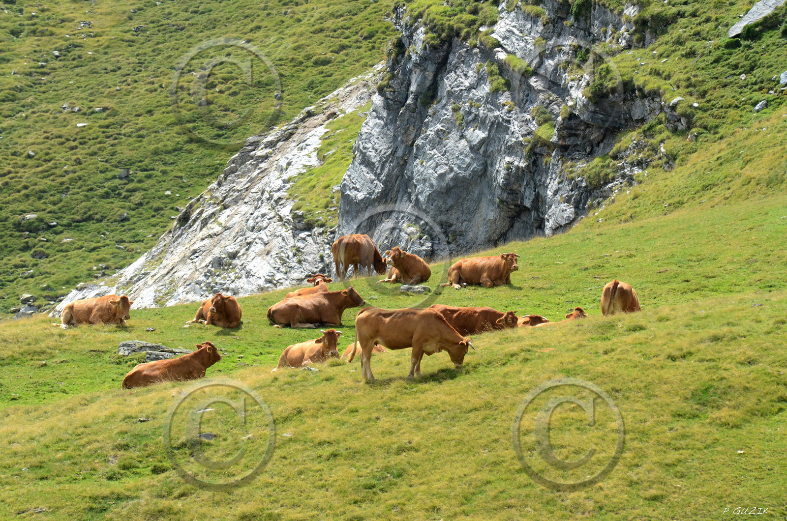 montagne haute alpes ,queyras, mercantour,alpes de haute provence,alpes maritime