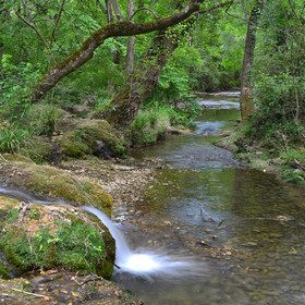 Photo de la sainte baume