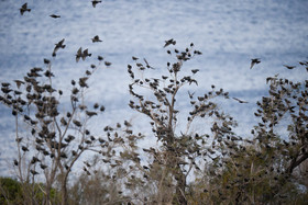 MISE A  JOUR  en cours