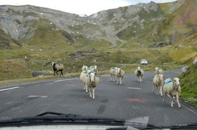 montagne haute alpes ,queyras, mercantour,alpes de haute provence,alpes maritime