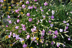 MISE A  JOUR  en cours