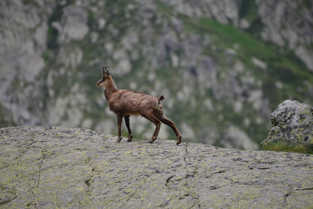 MISE A  JOUR  en cours