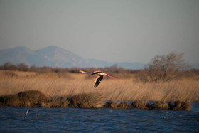 MISE A  JOUR  en cours