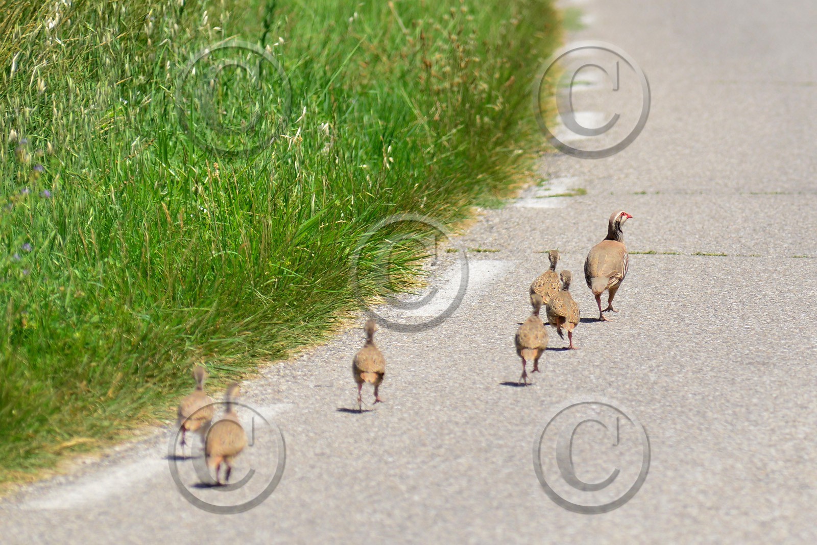 MISE A  JOUR  en cours