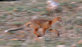 QUELQUES PART DANS LES CALANQUE