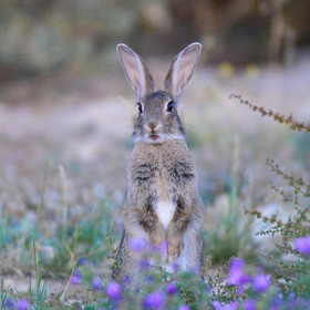 MISE A  JOUR  en cours