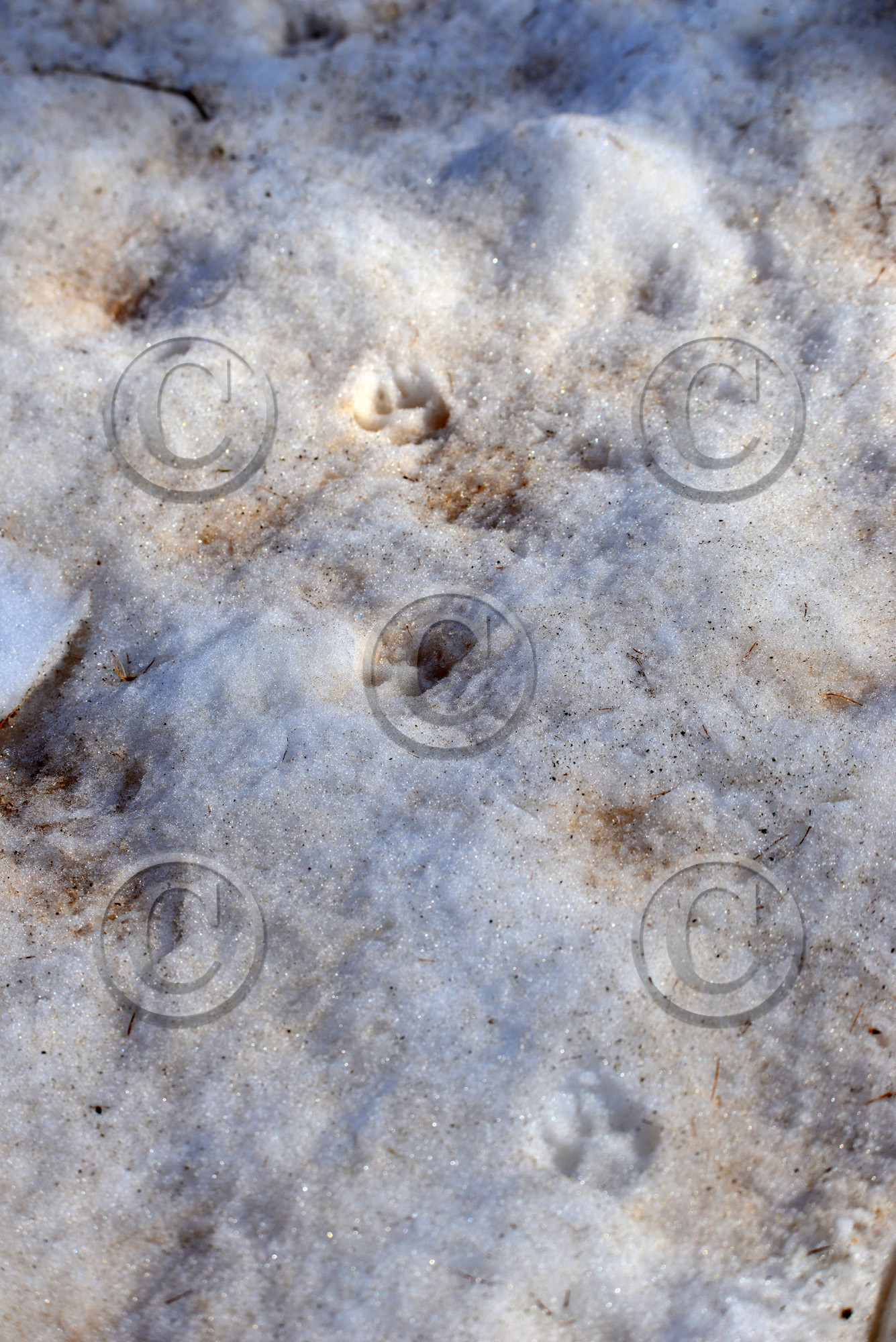 MISE A  JOUR  en cours