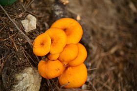 MISE A  JOUR  en cours