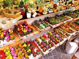 À MARSEILLE,  MARCHÉ D'ÉTÉ SUR LA CANEBIÉRE ,   TOUS LES JOURS  JUILLET & AOUT  2024  DE 11H À 23H