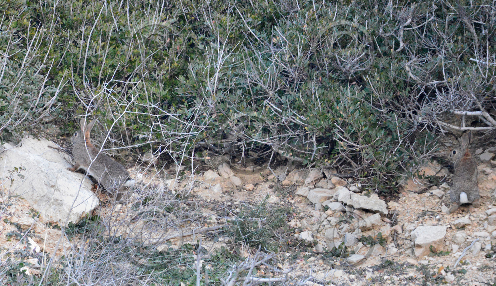 MISE A  JOUR  en cours