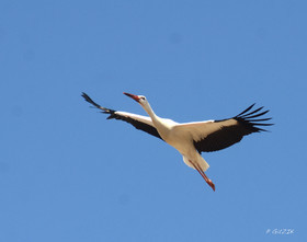 MISE A  JOUR  en cours