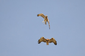 MISE A  JOUR  en cours