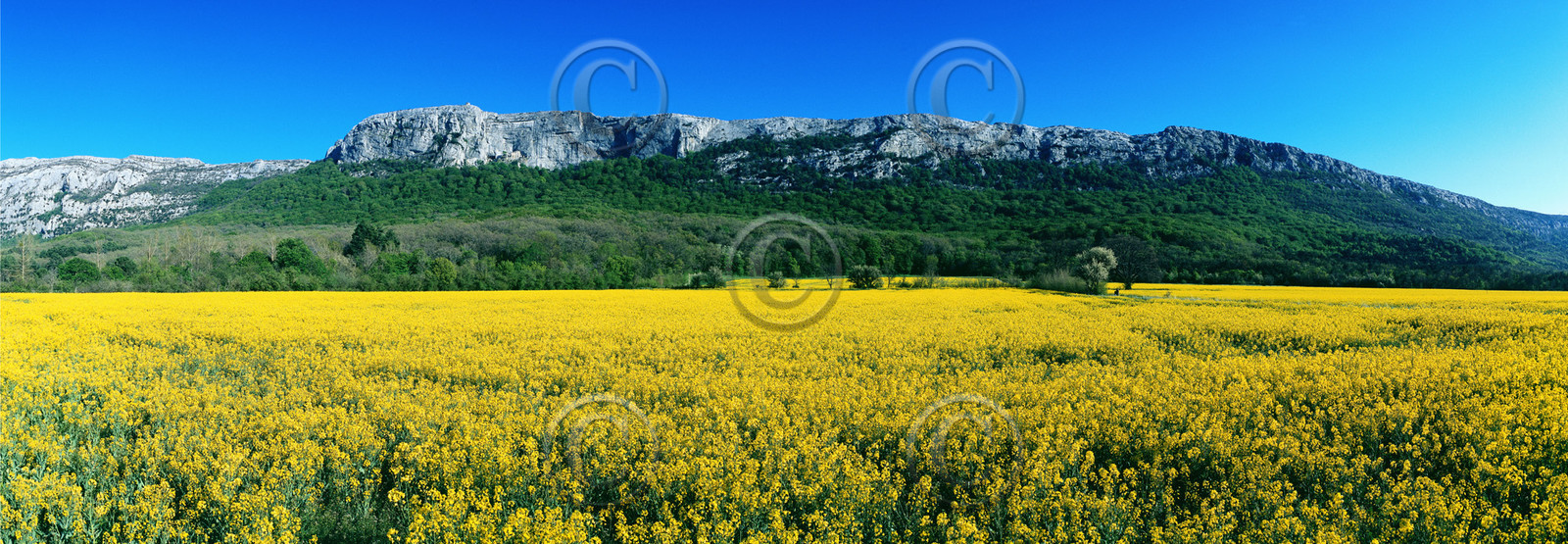 Photo de la sainte baume
