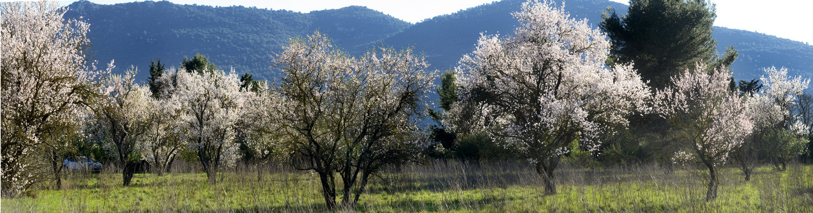 Photo de la sainte baume