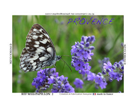 REF M118- Lavande et papillon demi-2-2025-8054.jpg