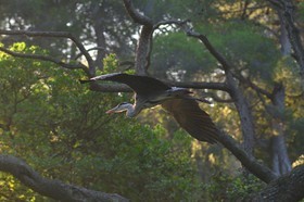 MISE A  JOUR  en cours