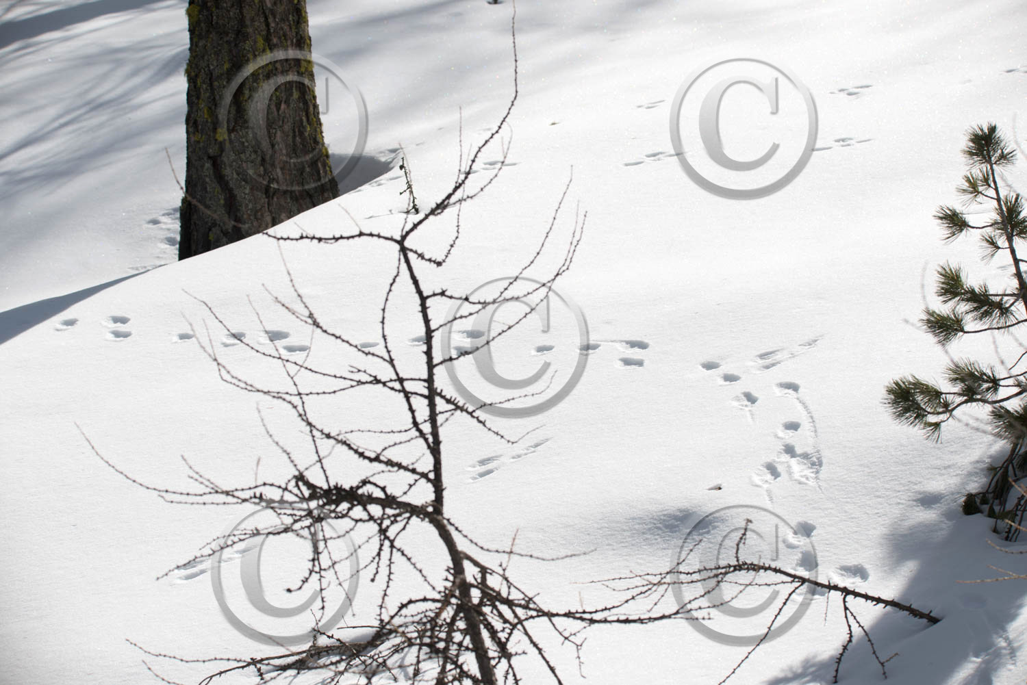 queyras hautes alpes