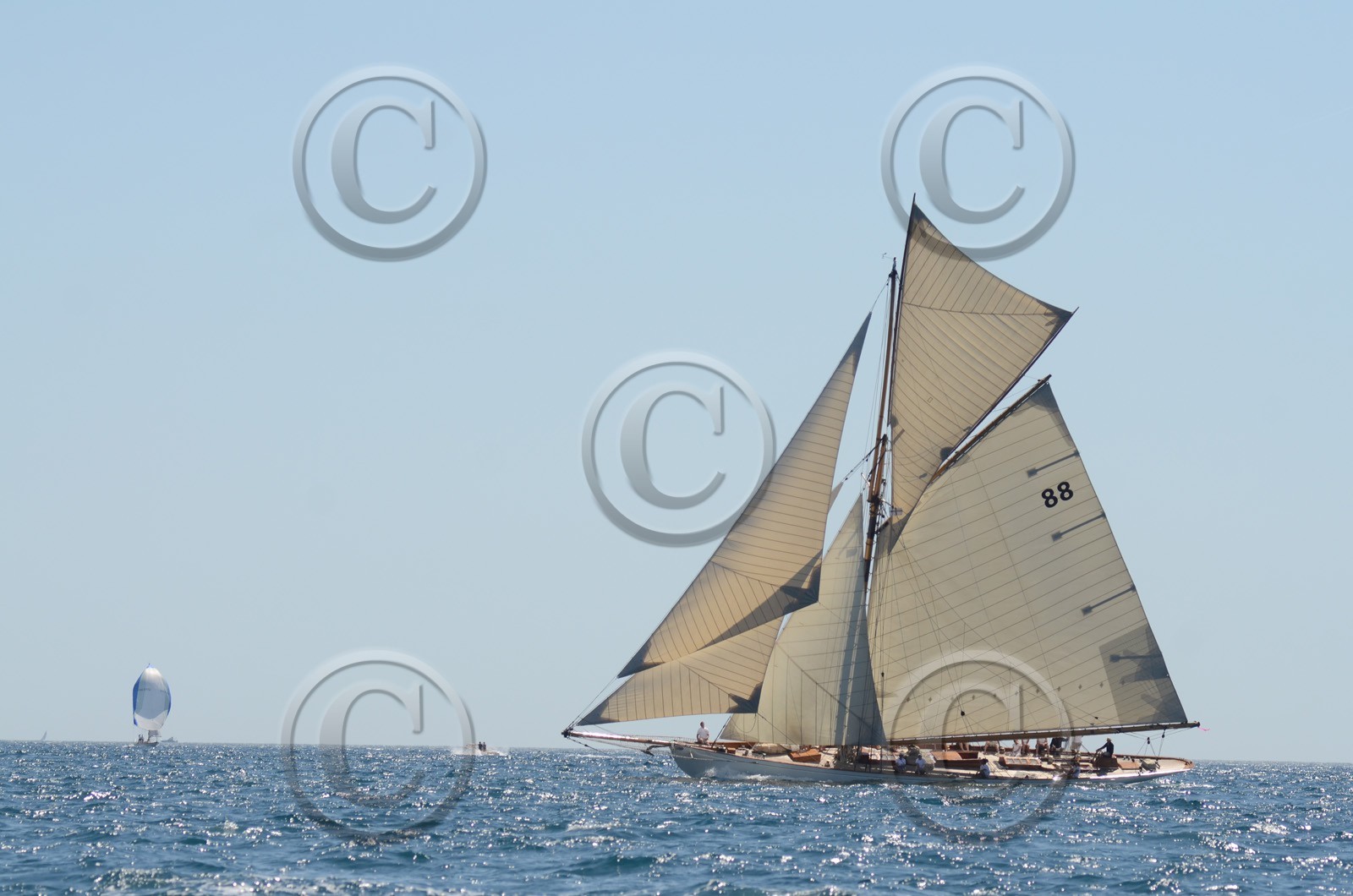voile-vp-2012-2350.jpg