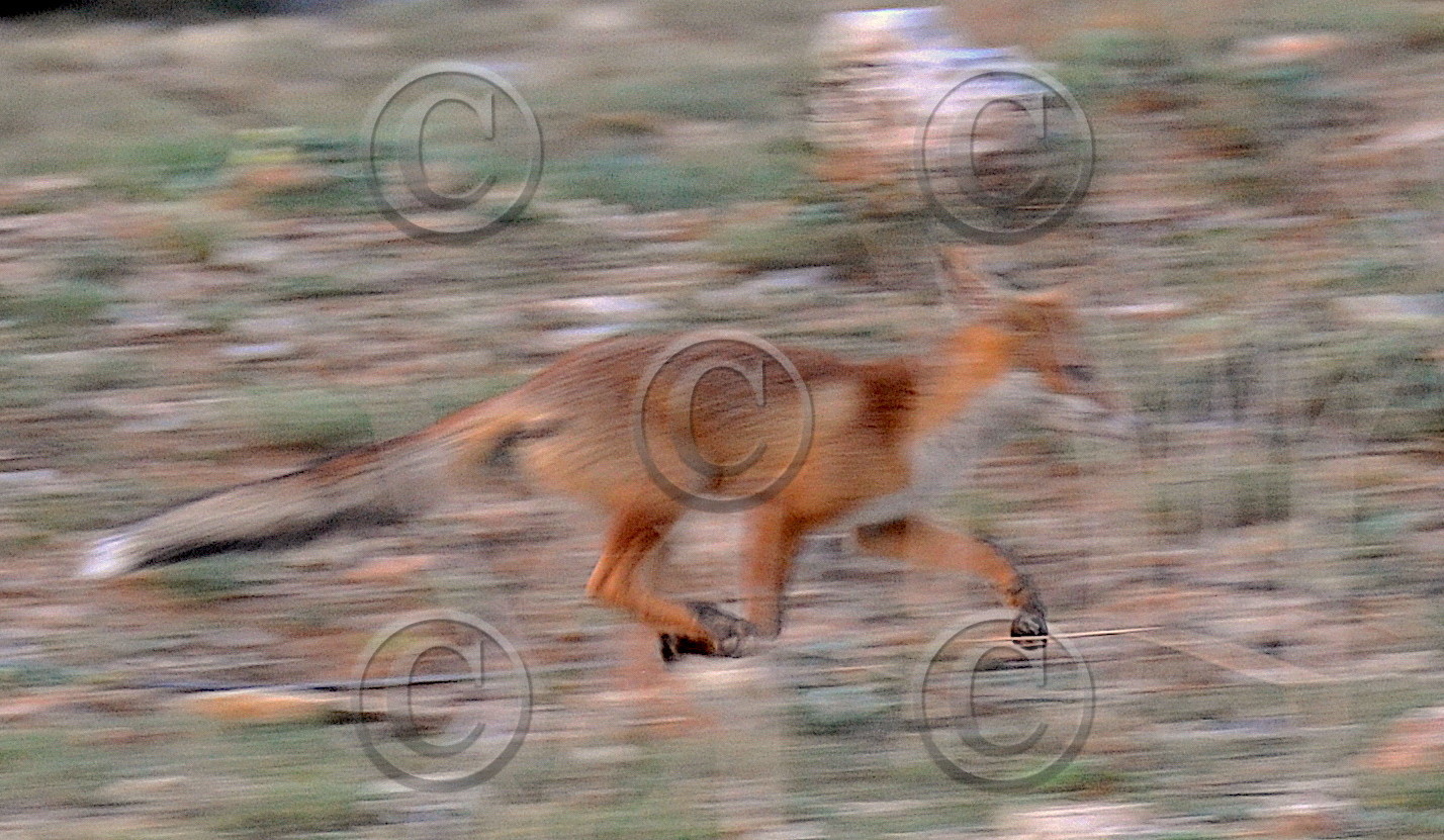 QUELQUES PART DANS LES CALANQUE