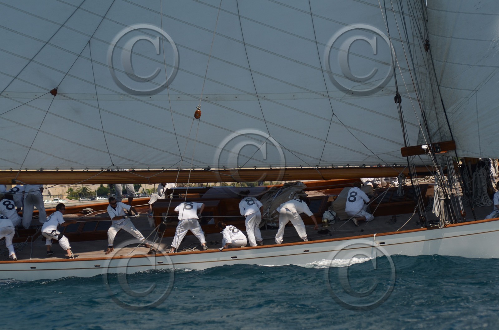 voile-vp-2012-2307.jpg