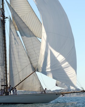 voile-vp-2012-2414.jpg