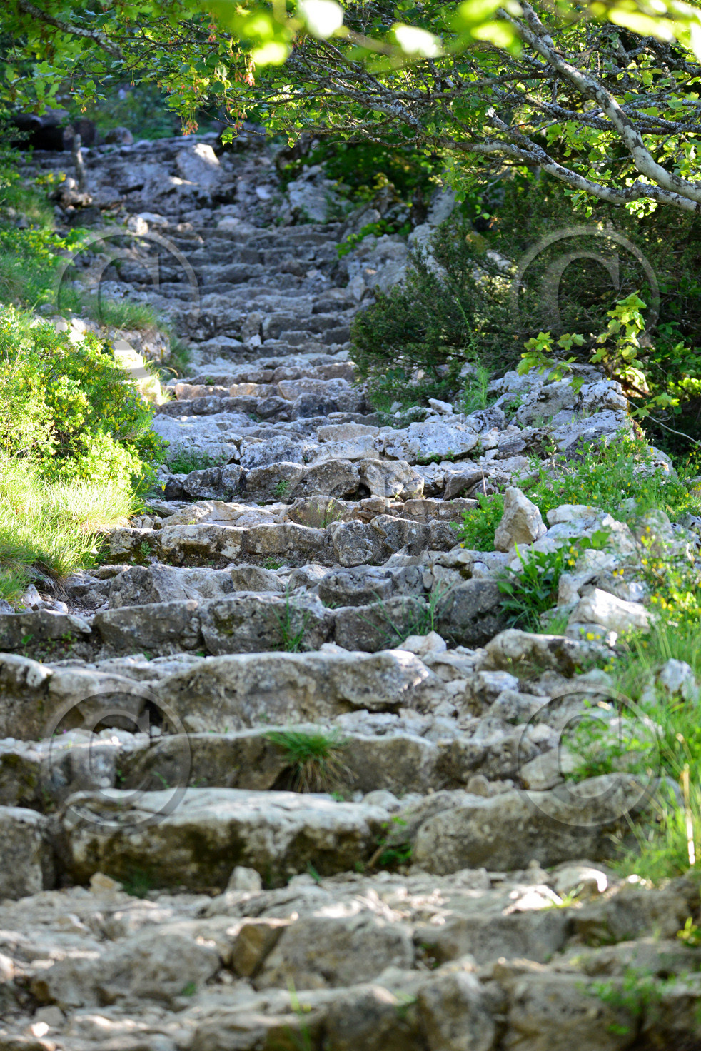 Photo de la sainte baume