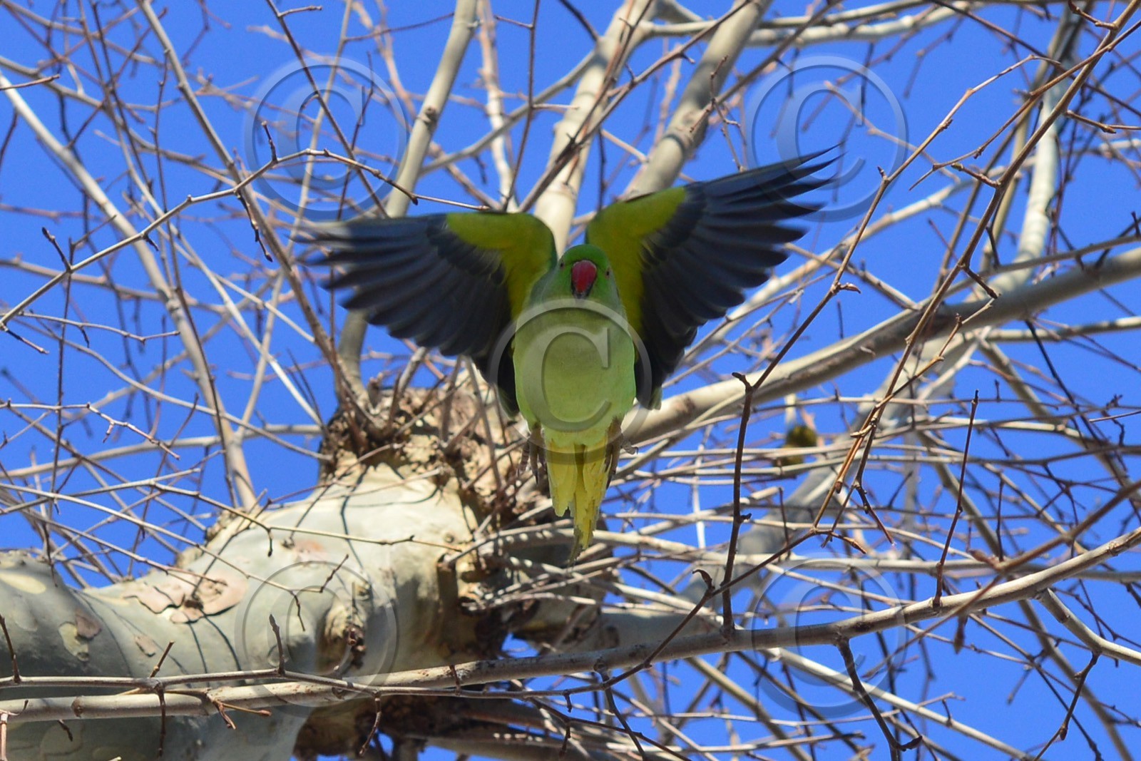 MISE A  JOUR  en cours