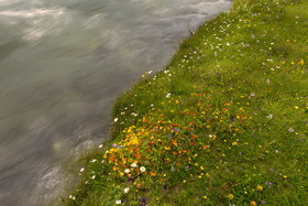 DANS LES ALPES DU SUD  , LE QUEYRAS
