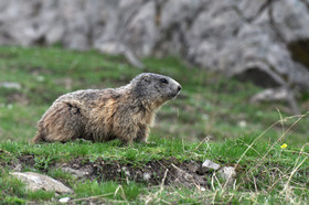 MISE A  JOUR  en cours