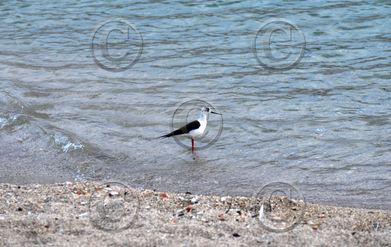 MISE A  JOUR  en cours