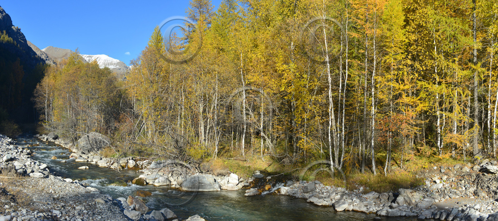 montagne haute alpes ,queyras, mercantour,alpes de haute provence,alpes maritime