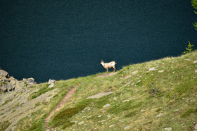 montagne haute alpes ,queyras, mercantour,alpes de haute provence,alpes maritime
