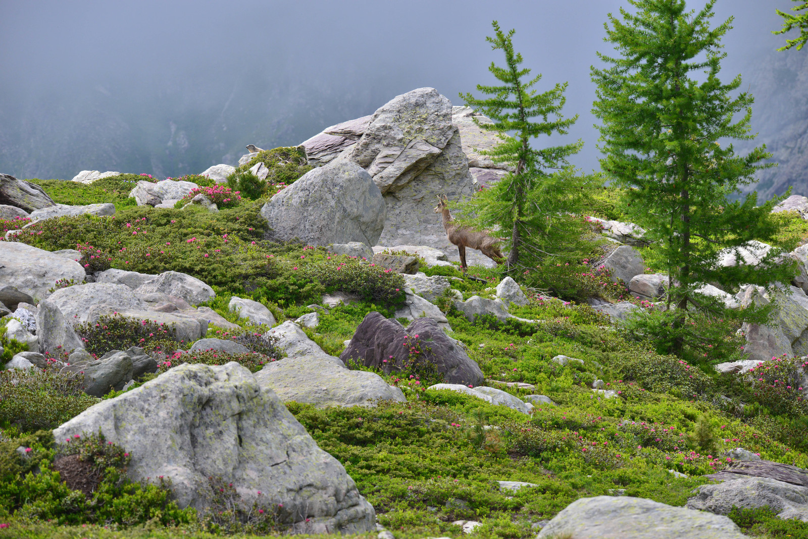 MISE A  JOUR  en cours