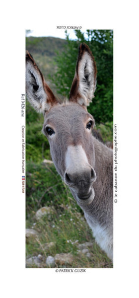 COLLECTION MAGNETIQUE&nbsp;MAGNET MARSEILLE et CALANQUE ,PROVENCE&nbsp; ........