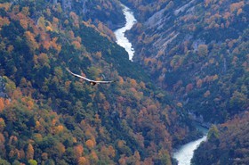 MISE A  JOUR  en cours