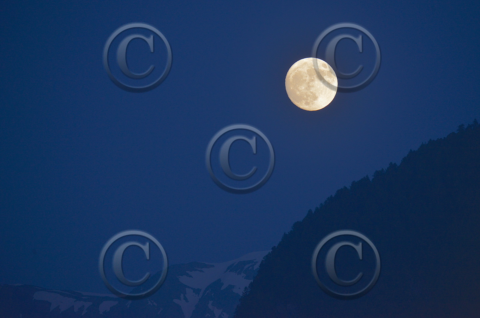 DANS LES ALPES DU SUD  , LE QUEYRAS