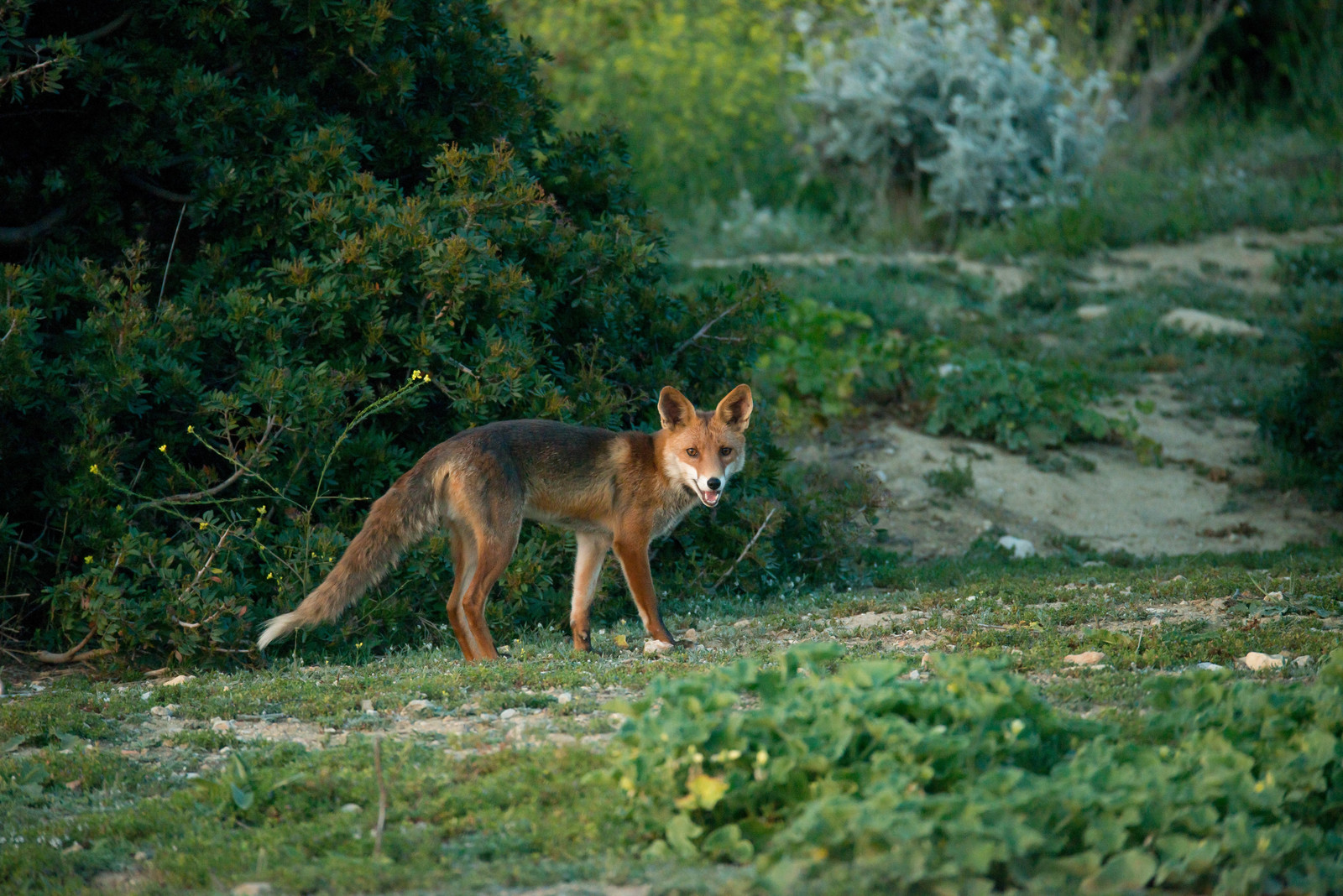 MISE A  JOUR  en cours