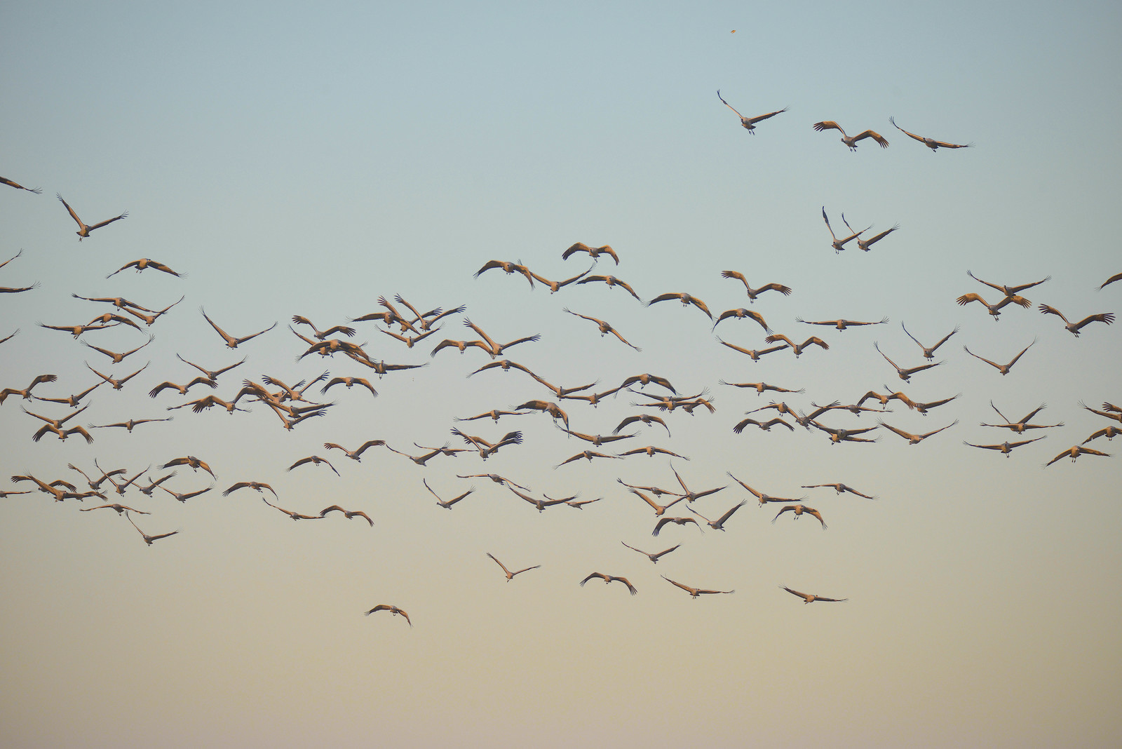 MISE A  JOUR  en cours