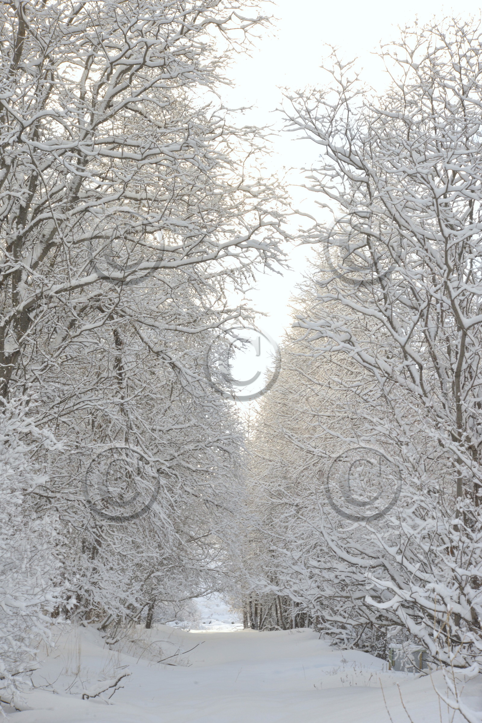 ALPES DE HAUTE PROVENCE